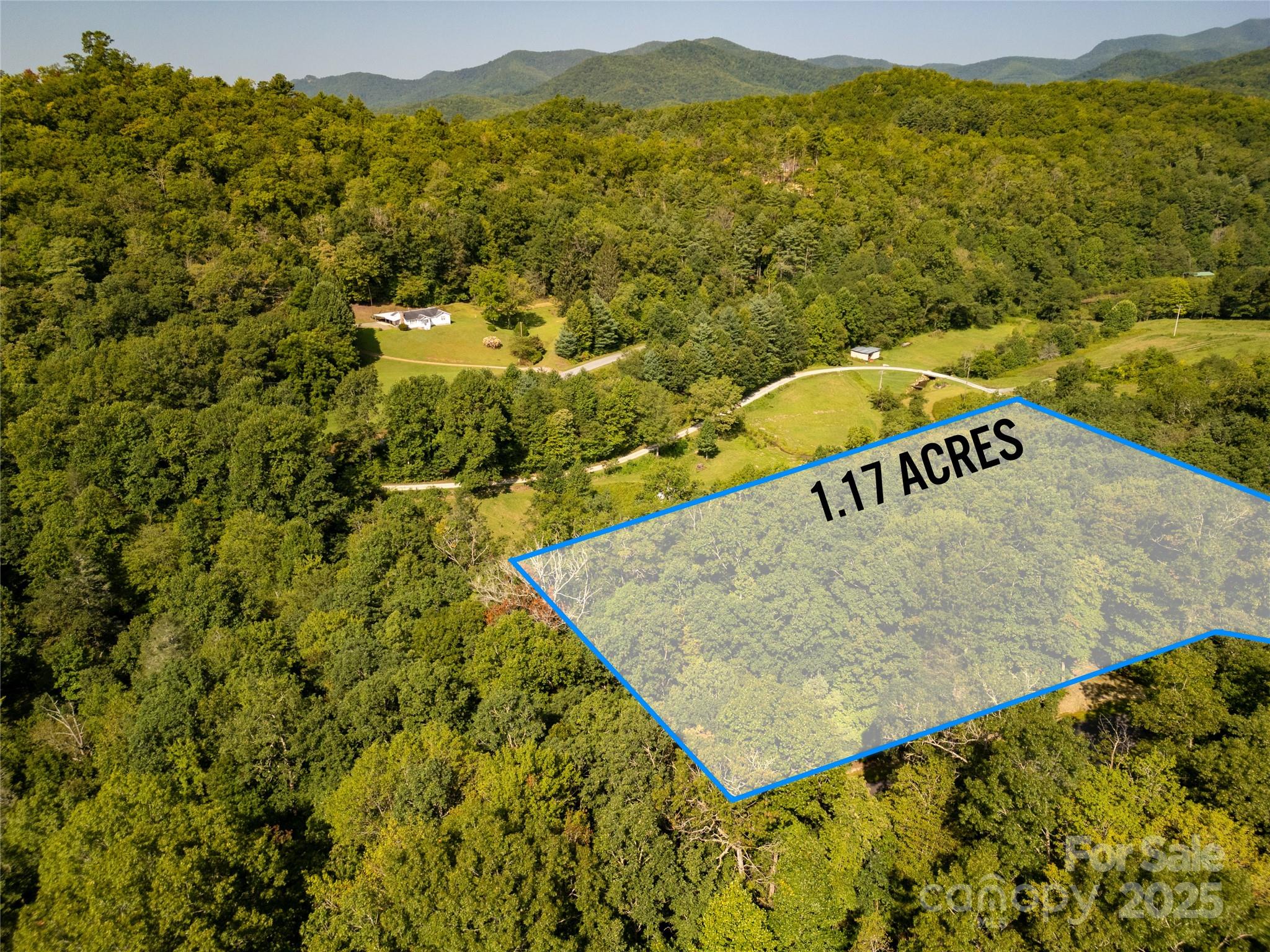 Lot 8 Sweetwater Rdg Road, Unit 8 Balsam Grove, NC 28708 - Photo 8 of 8 a view of a field