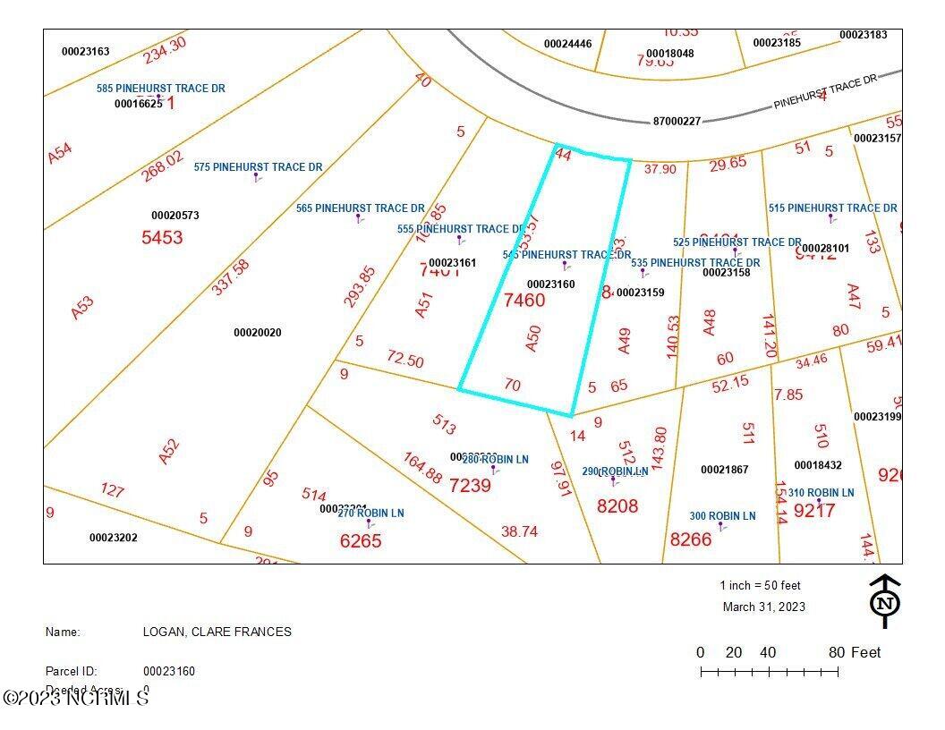 545 Pinehurst Trace Drive Pinehurst, NC 28374 - Photo 31 of 32 Plat Map 545 Pinehurst Trace Dr.