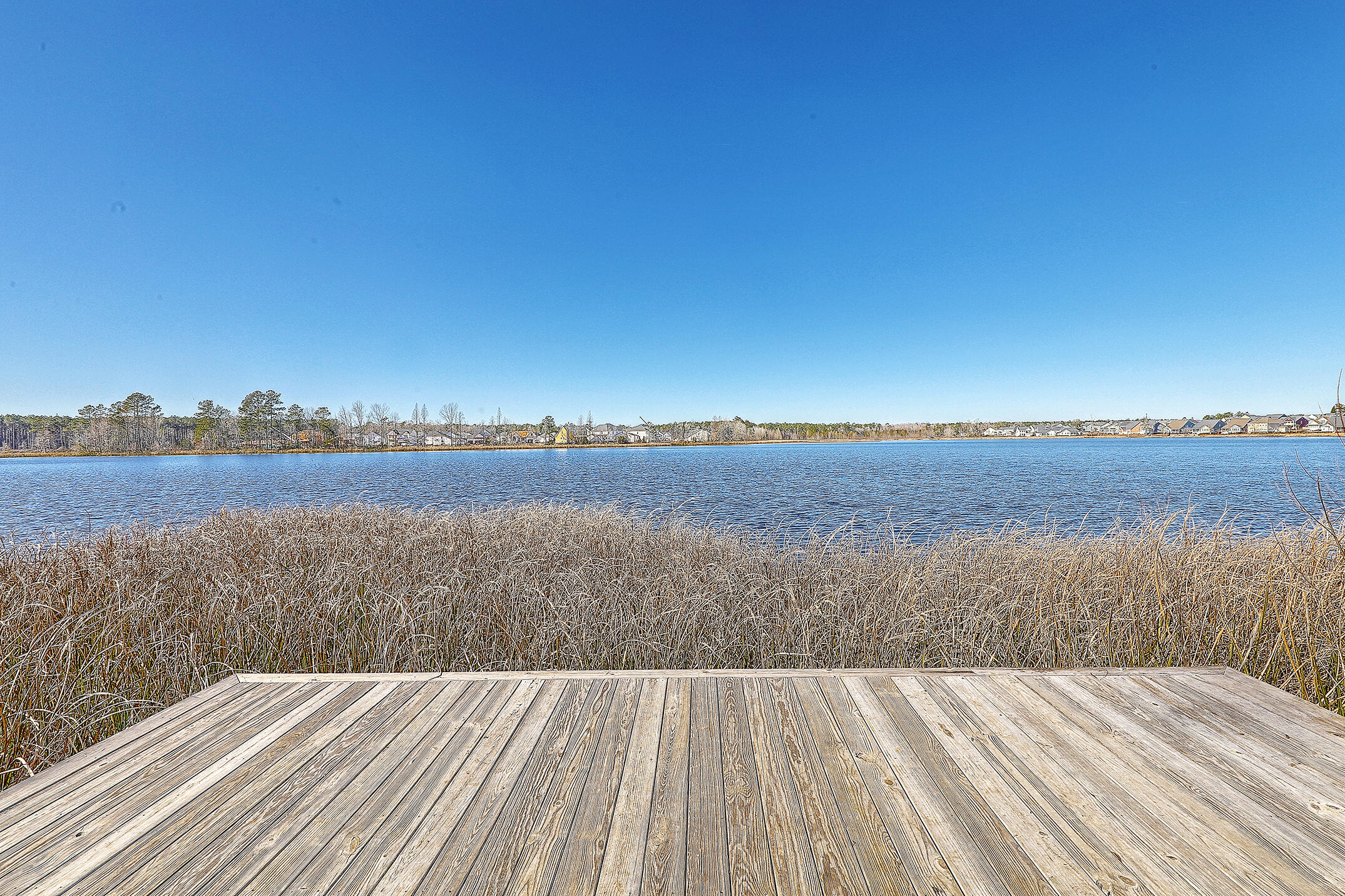 220 Old Grove Avenue Moncks Corner, SC 29461 - Photo 50 of 50 IMG_1211