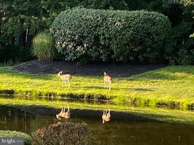 131 Lowell Drive Marlton, NJ 08053 - Photo 48 of 60 a view of a lake view