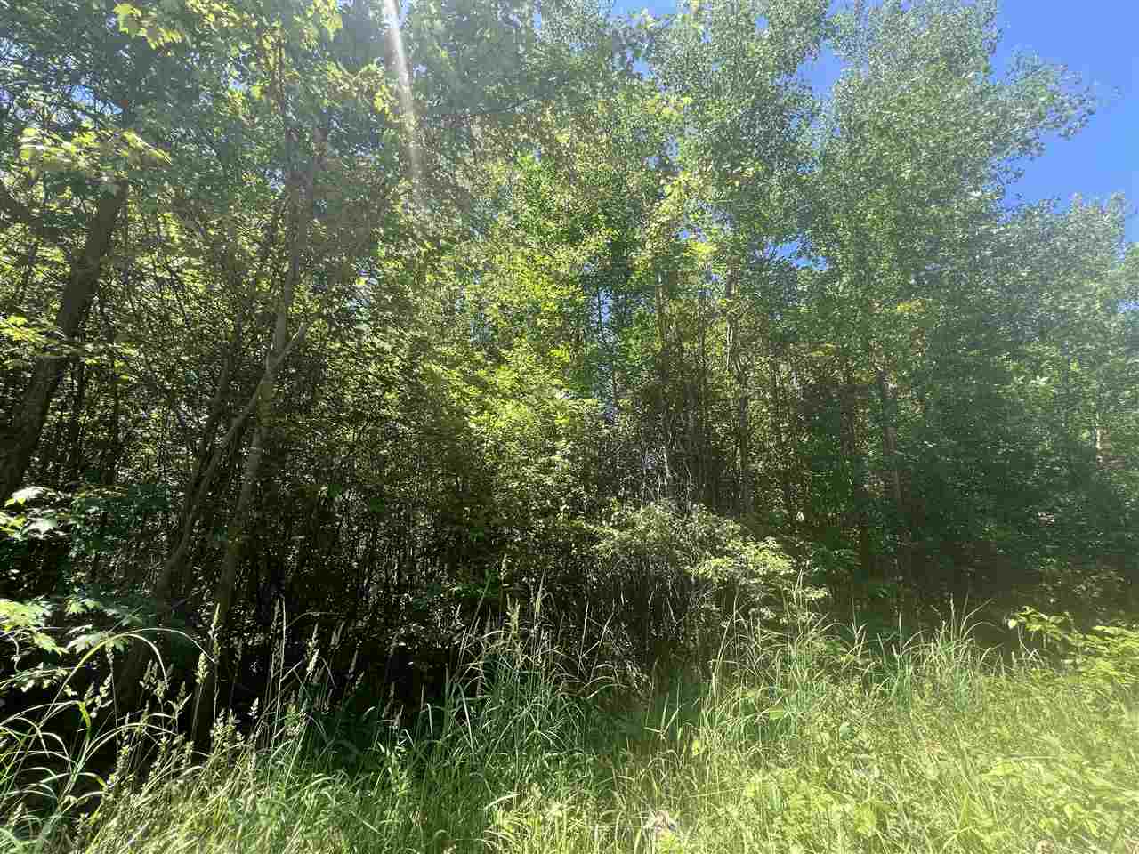 20-acres Roehrs Beaverton, MI 48612 - Photo 11 of 18 Gallery Image 11