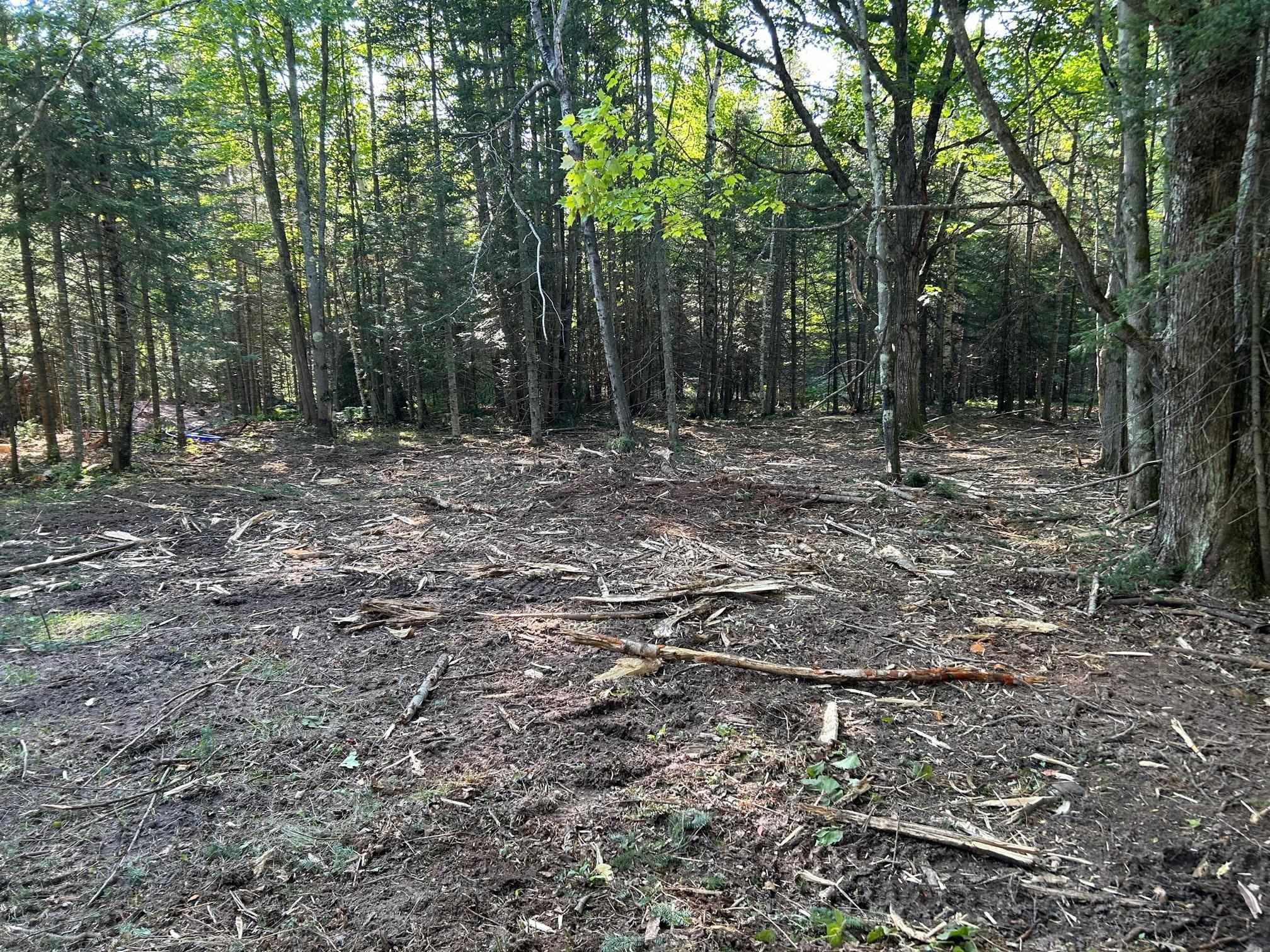 Xxxxx Xxxxx Sawgrass Road Cornucopia, WI 54827 - Photo 2 of 5