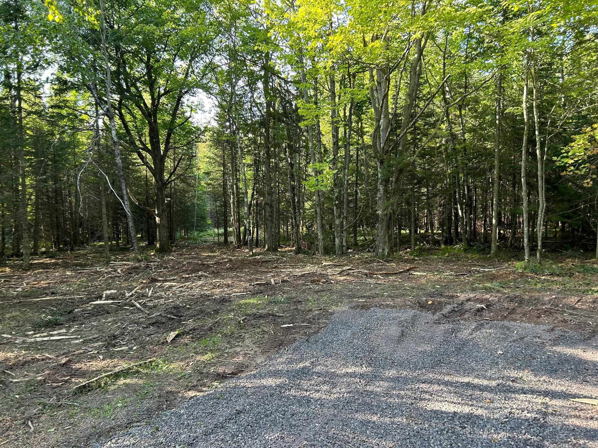 Xxxxx Xxxxx Sawgrass Road Cornucopia, WI 54827 - Photo 3 of 5