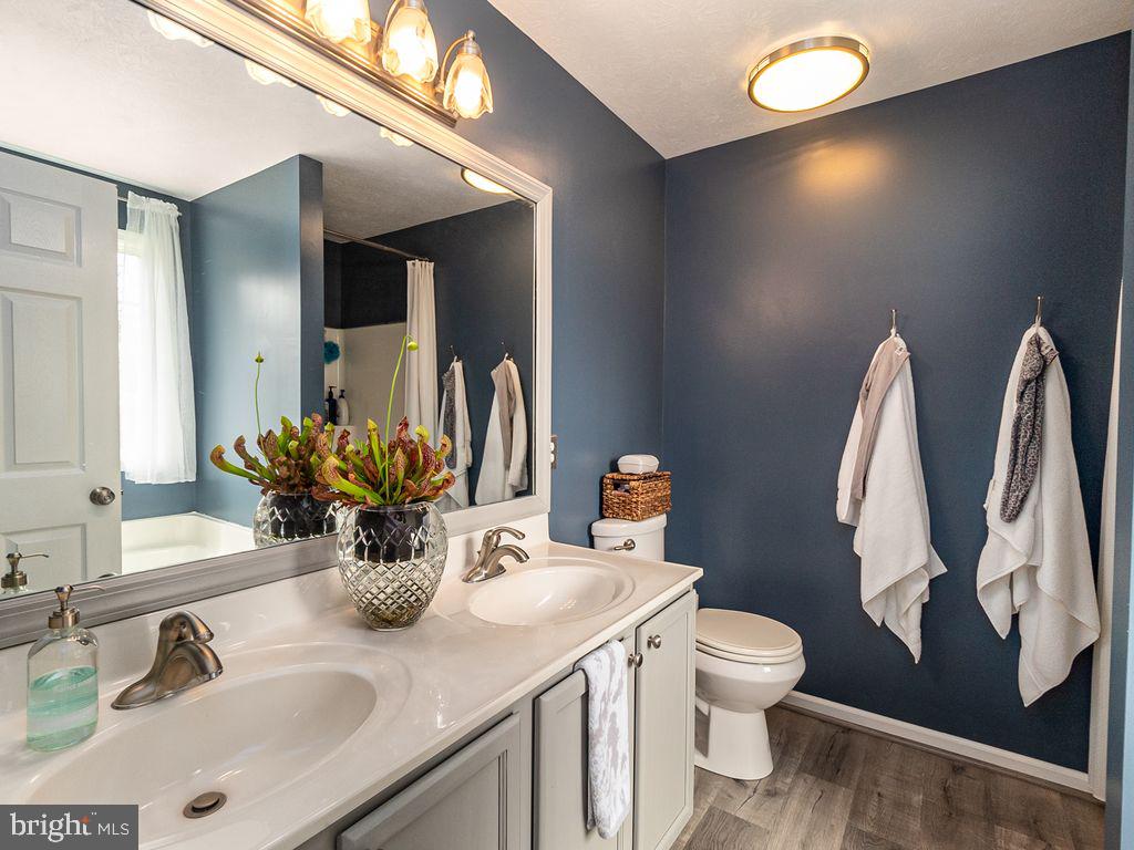 10411 Hidden Lake Lane Rixeyville, VA 22737 - Photo 19 of 35 Master Bath