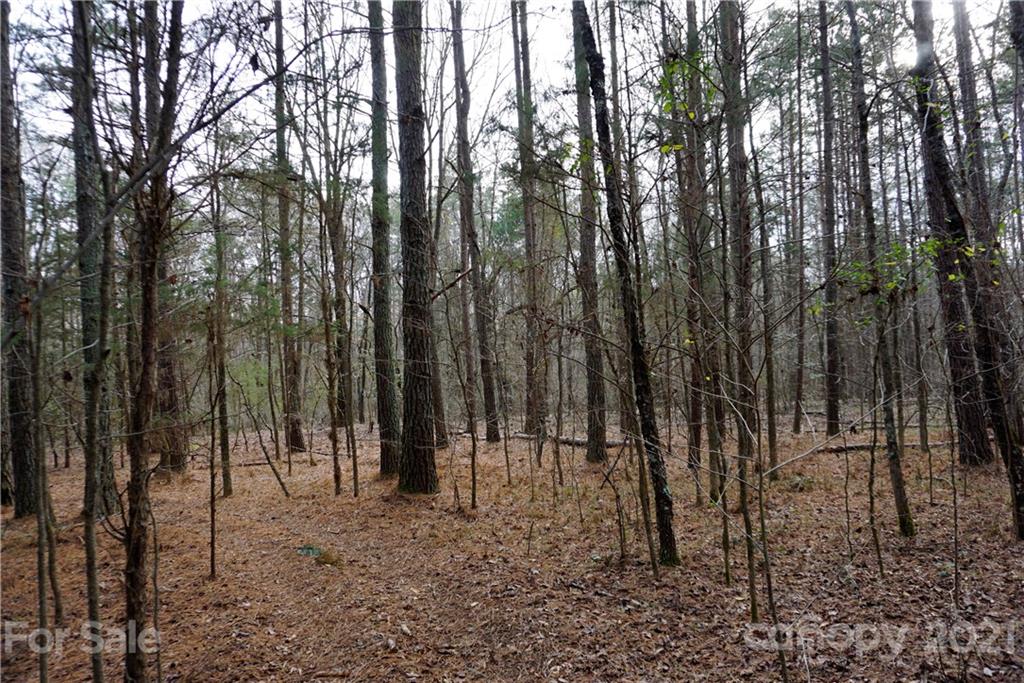 1.71-ac Burree Road Clover, SC 29710 - Photo 14 of 14 Gallery Image 14