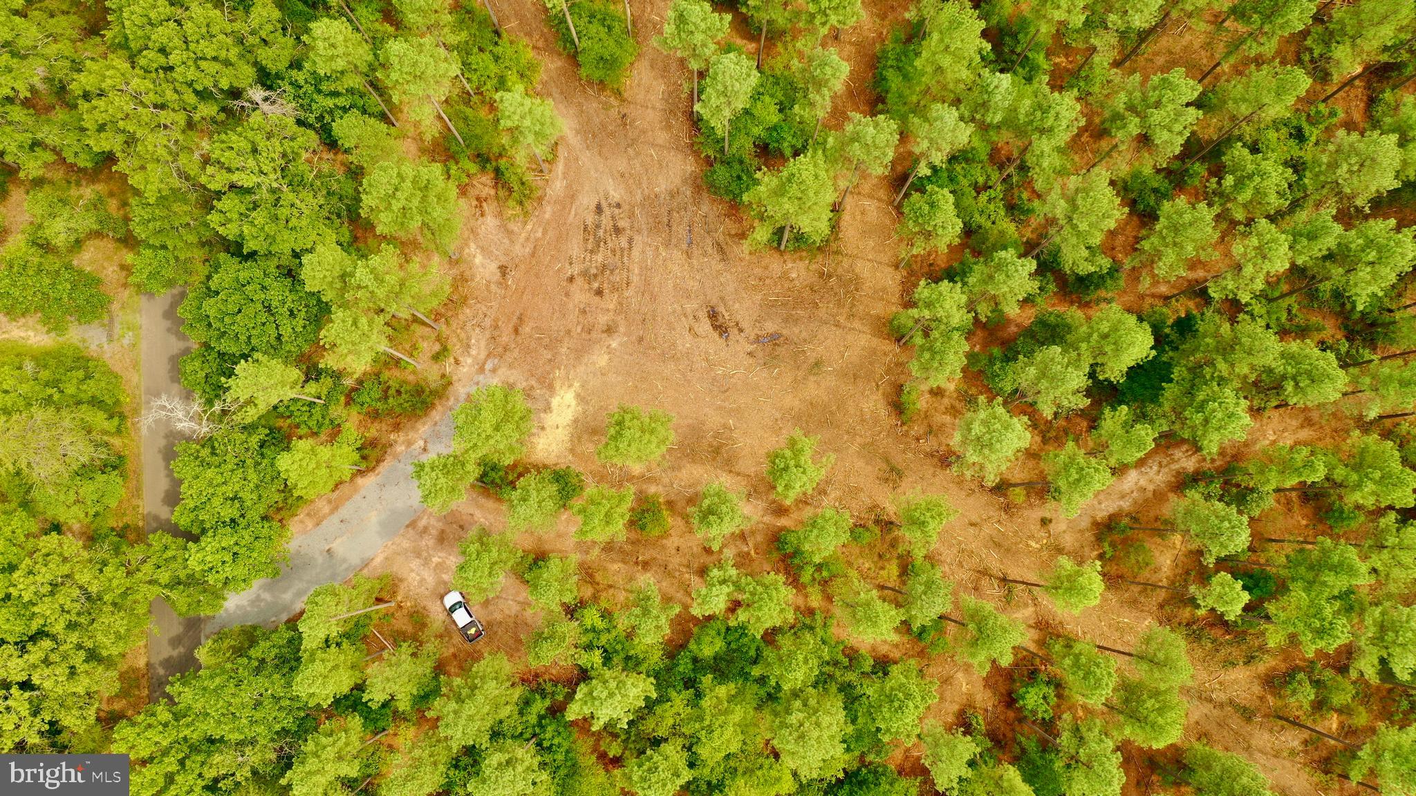 Old Mill Road Bealeton, VA 22712 - Photo 11 of 23