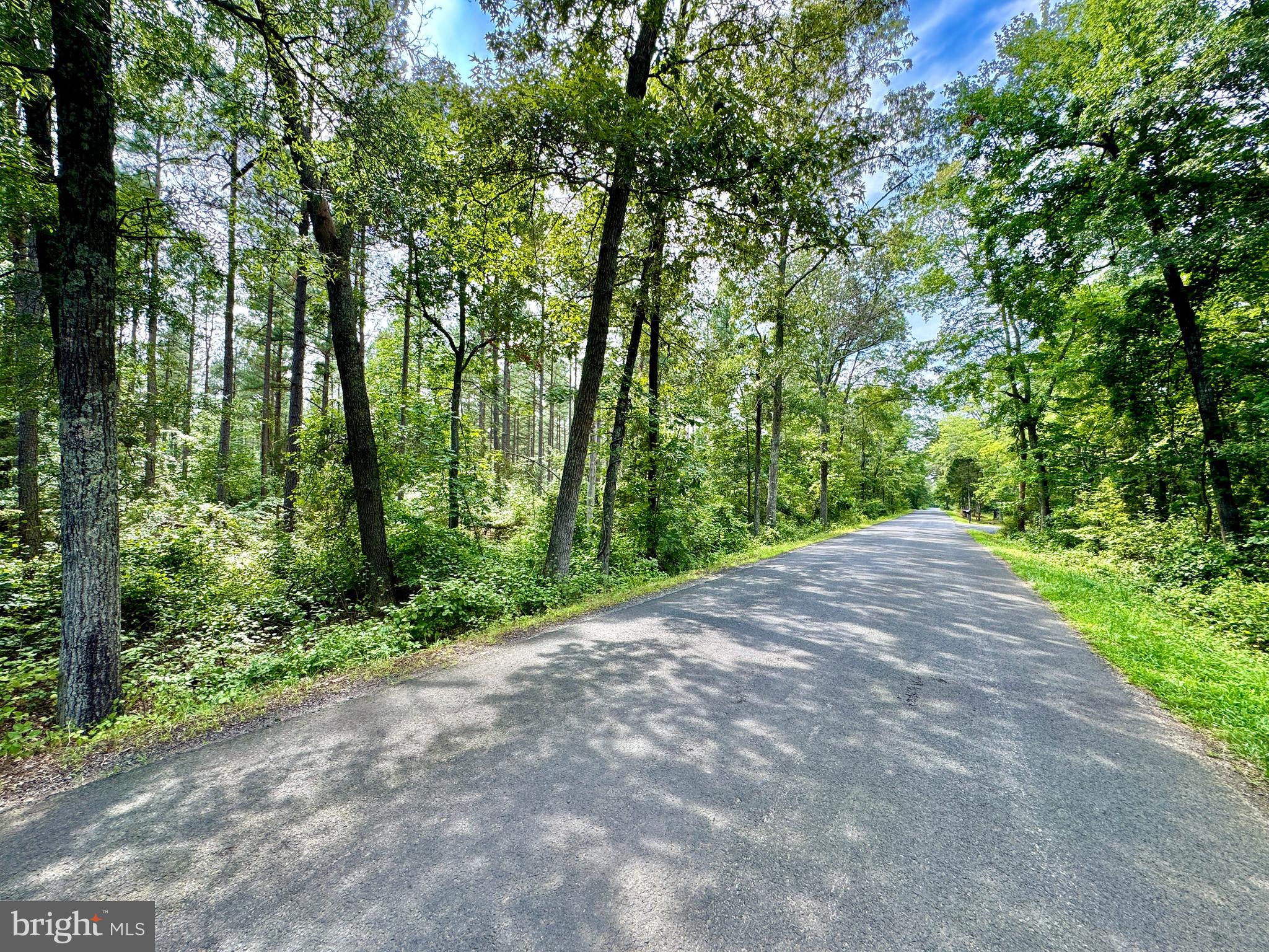 Old Mill Road Bealeton, VA 22712 - Photo 3 of 23