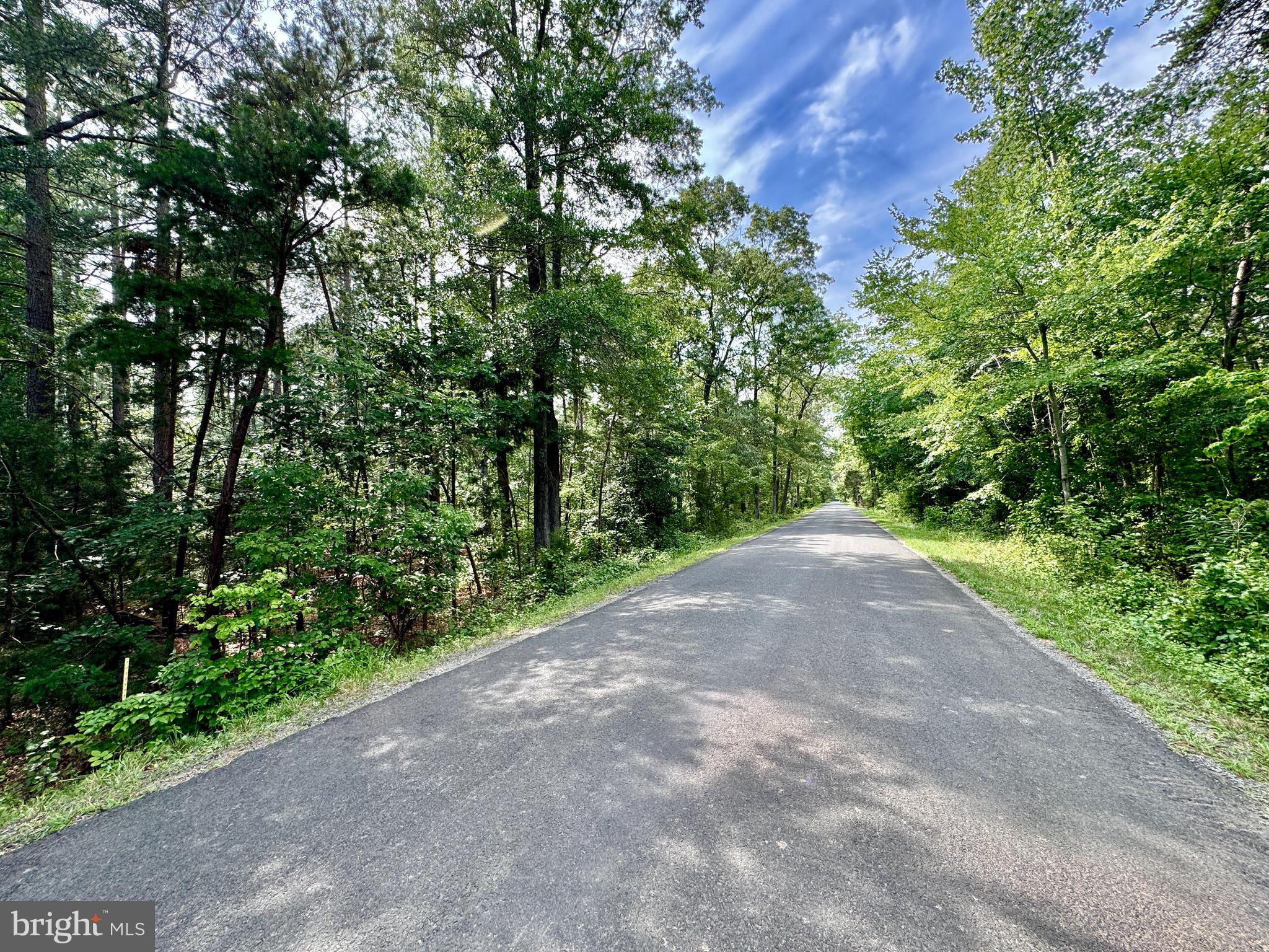 Old Mill Road Bealeton, VA 22712 - Photo 5 of 23
