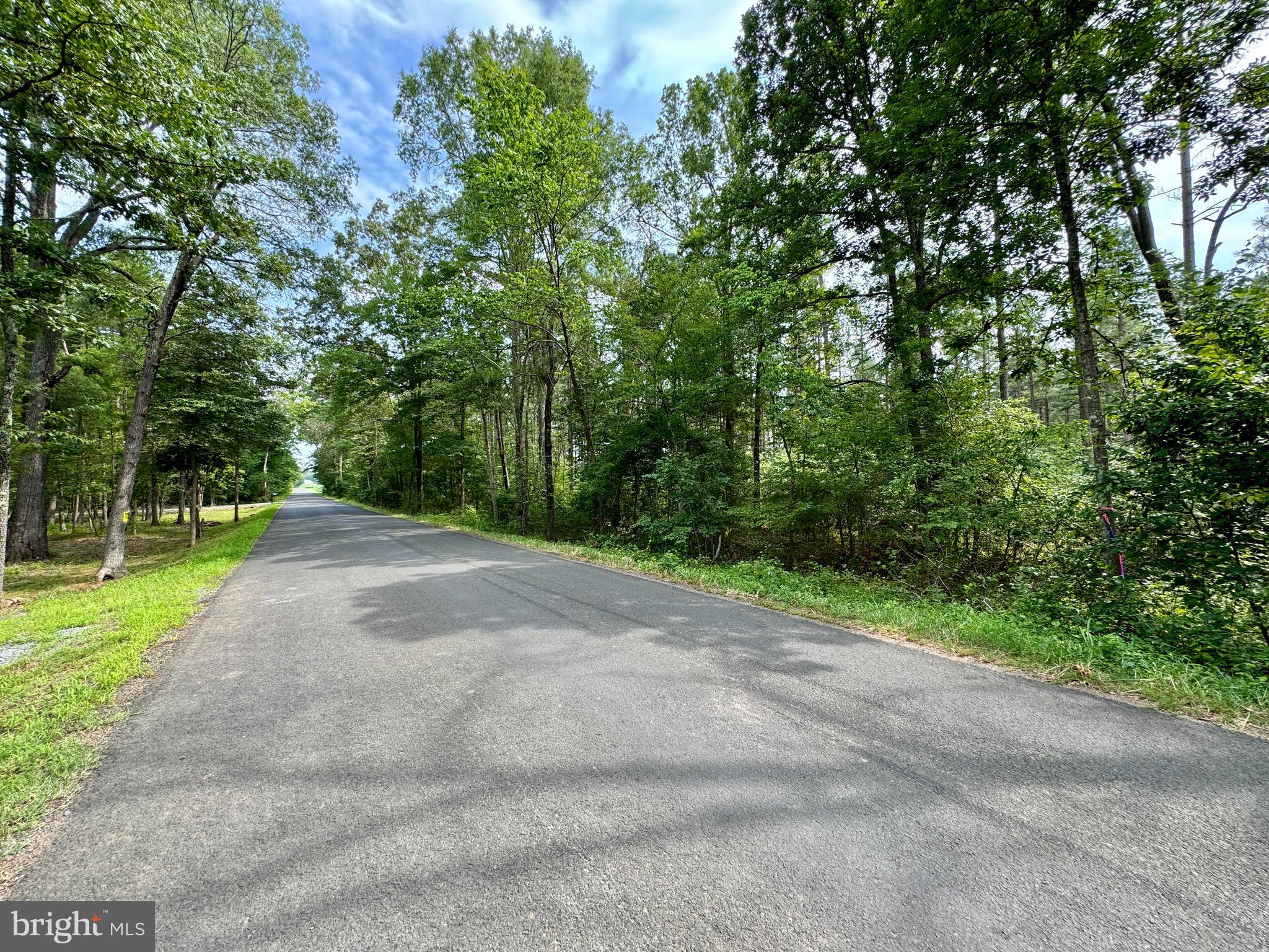 Old Mill Road Bealeton, VA 22712 - Photo 9 of 23