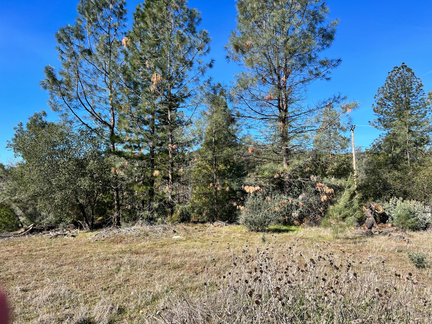 0 Watt Road Ahwahnee, CA 95338 - Photo 14 of 16
