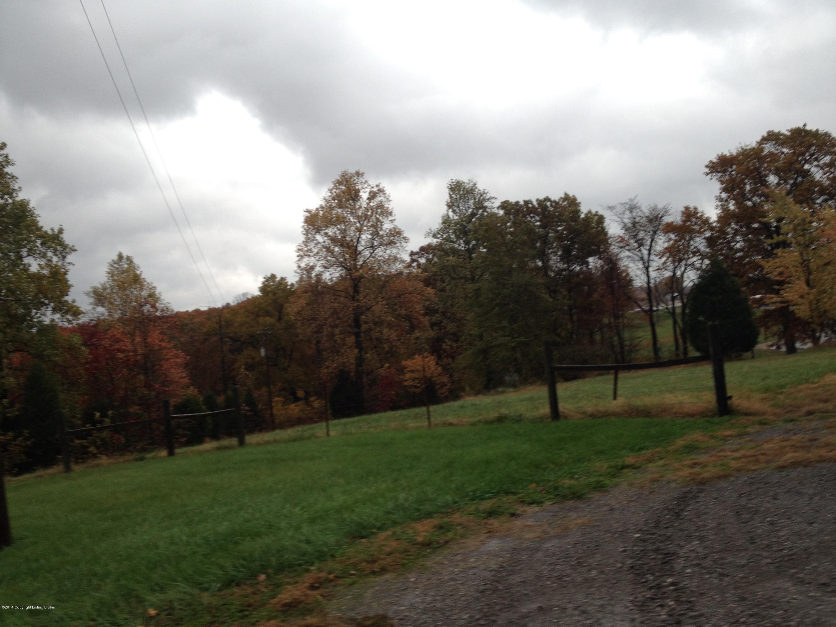 697 Liberty Road Battletown, KY 40104 - Photo 52 of 55 Yard View 2