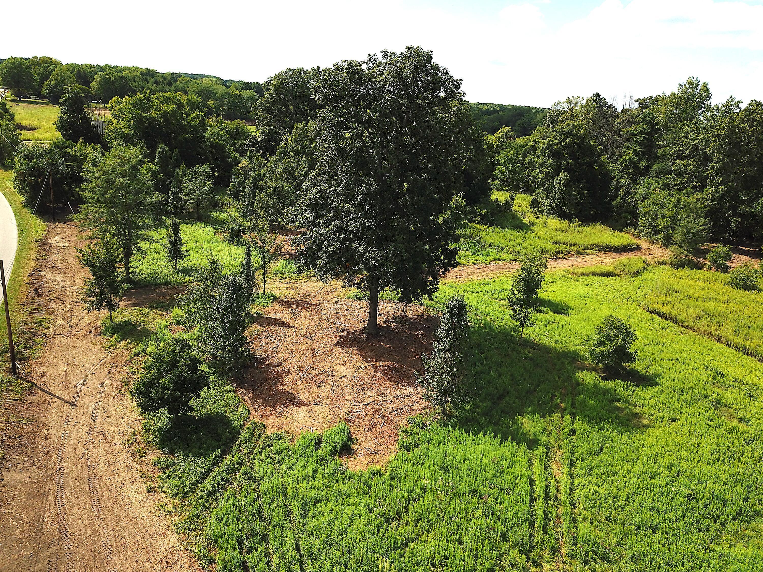 0 North Dean Road Ostrander, OH 43061 - Photo 19 of 38 DJI_0974