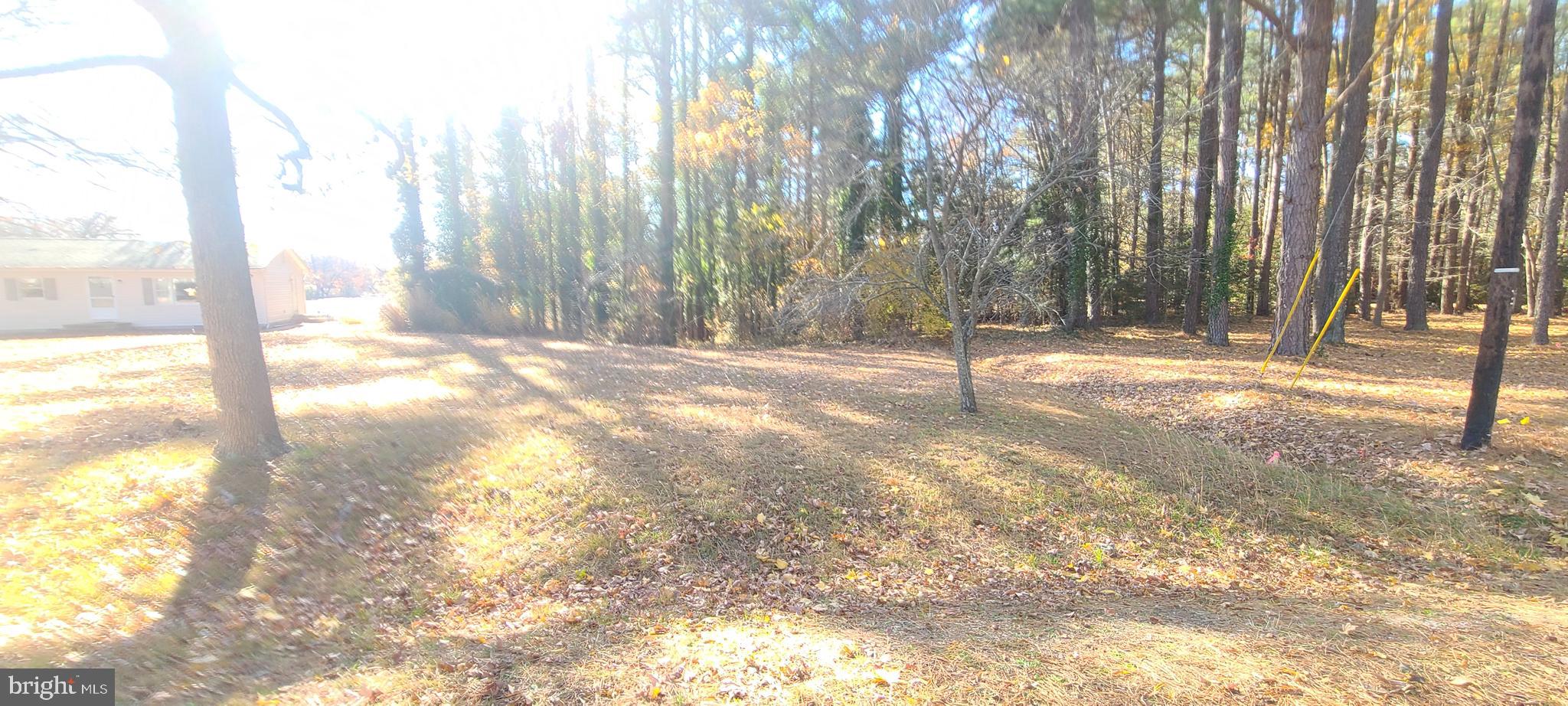 836 North Glebe Road Montross, VA 22520 - Photo 27 of 33 Additional Lot