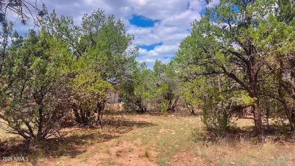$30,000 | 3491 Evergreen Drive, Unit 322, Overgaard, AZ 85933