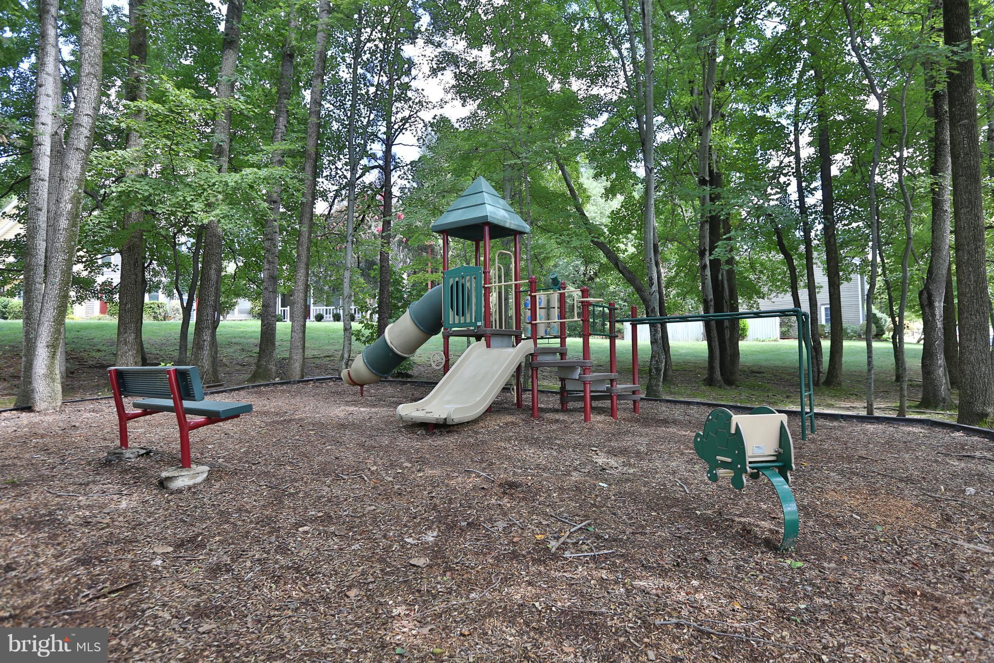 1541 Poplar Grove Drive Reston, VA 20194 - Photo 24 of 30 Community