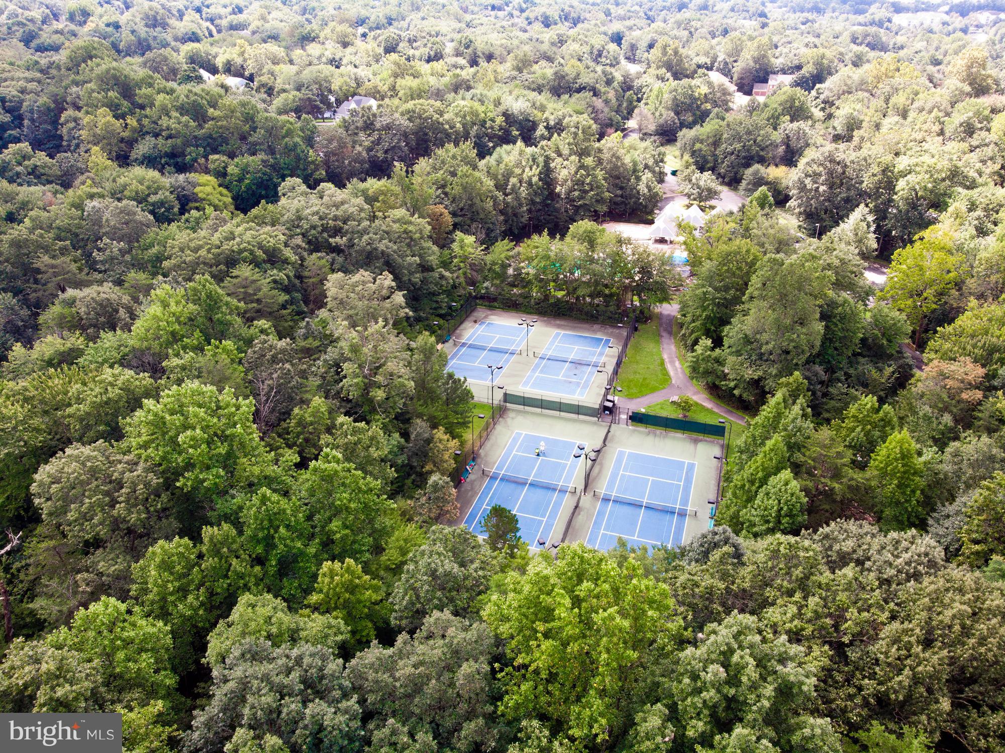1541 Poplar Grove Drive Reston, VA 20194 - Photo 28 of 30 Community