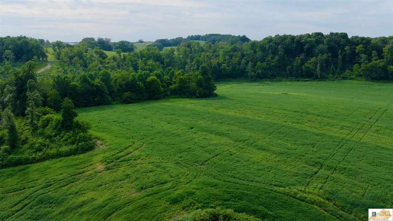 200 Scott-Marcum Road Summersville, KY 42782 - Photo 5 of 70 Gallery Image 5