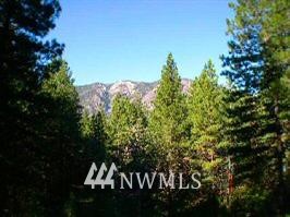 1000 Quaking Aspen Road Winthrop, WA 98862 - Photo 1 of 1