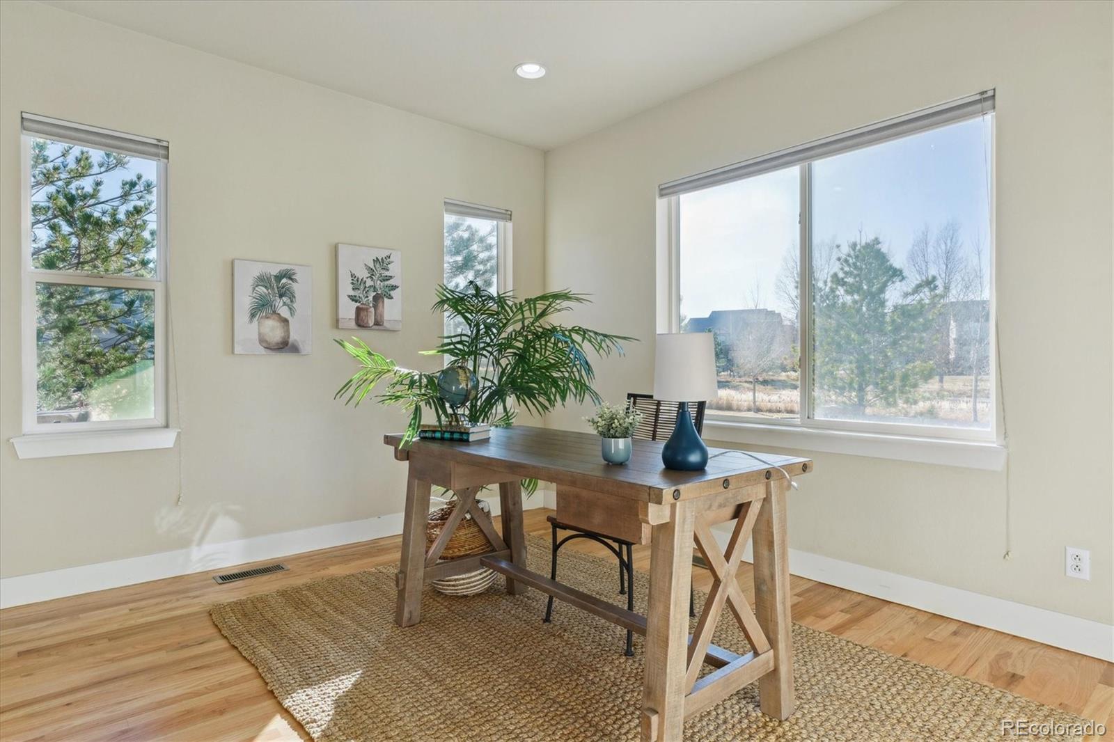 10607 Rutledge Street Parker, CO 80134 - Photo 5 of 33 Gallery Image 5