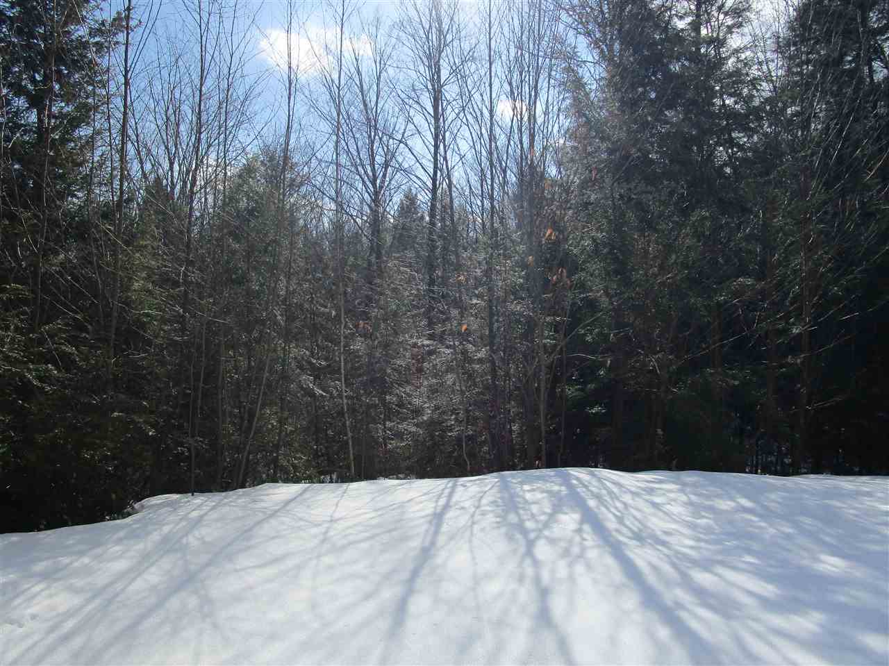 76 Morrison Road Alexandria, NH 03222 - Photo 16 of 20