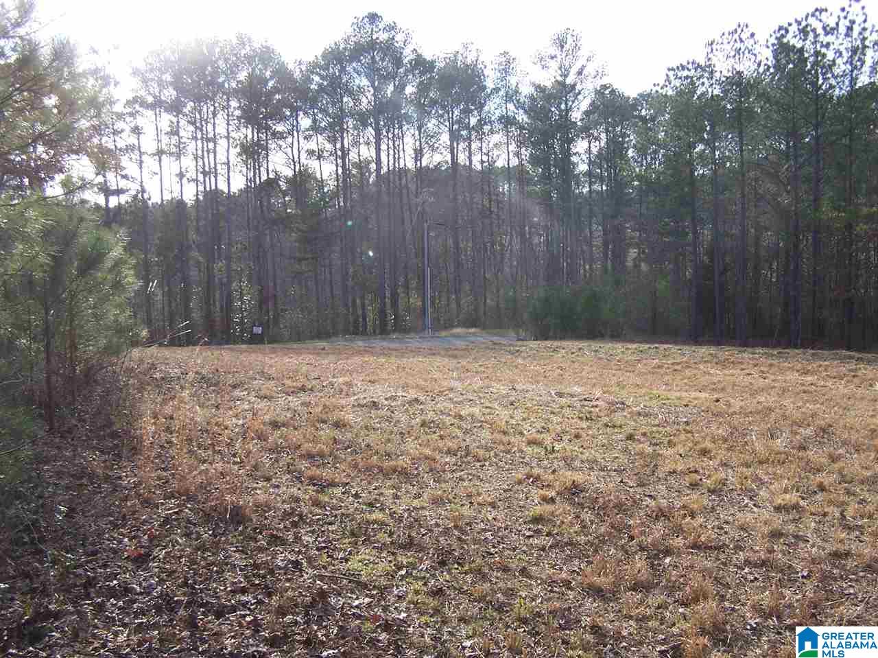 Alabama Avenue, Unit 4 Oneonta, AL 35121 - Photo 7 of 10