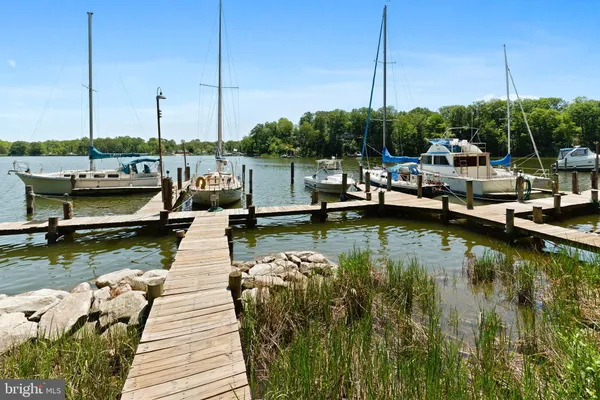 a view of a lake with lawn chairs and large trees