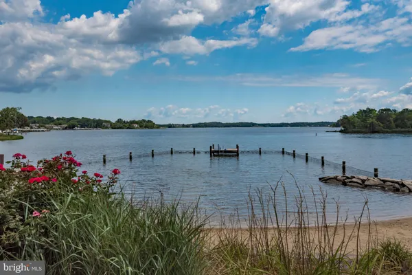 a view of a lake with a bench and trees
