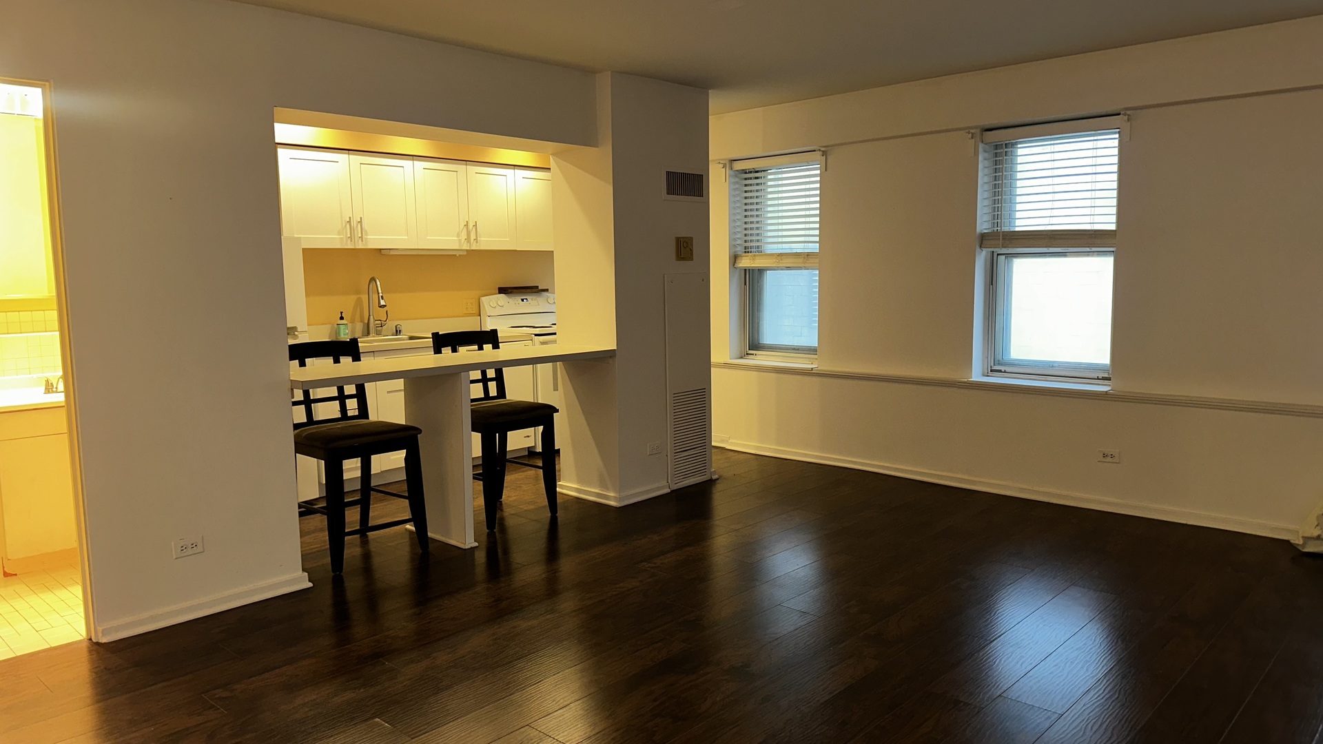 40 East 9th Street, Unit 312 Chicago, IL 60605 - Photo 6 of 15 a view of a room with wooden floor and a window