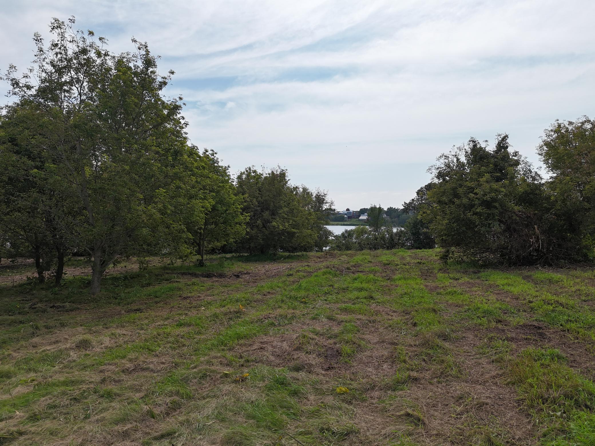 Tbd Wintermute Lane Morris, MN 56267 - Photo 12 of 27