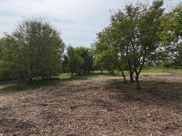 $84,900 | Tbd Wintermute Lane, Morris, MN 56267