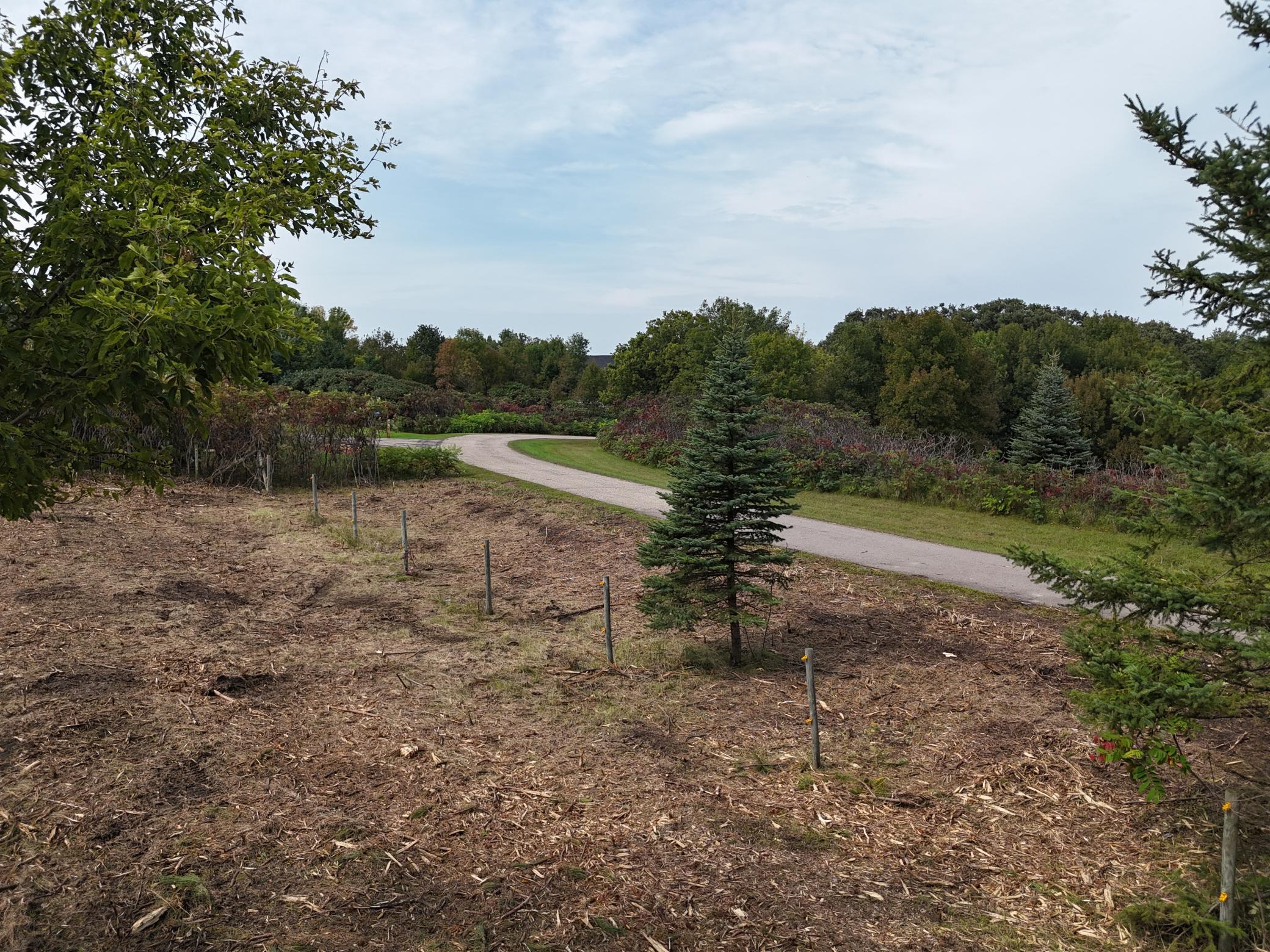 Tbd Wintermute Lane Morris, MN 56267 - Photo 18 of 27