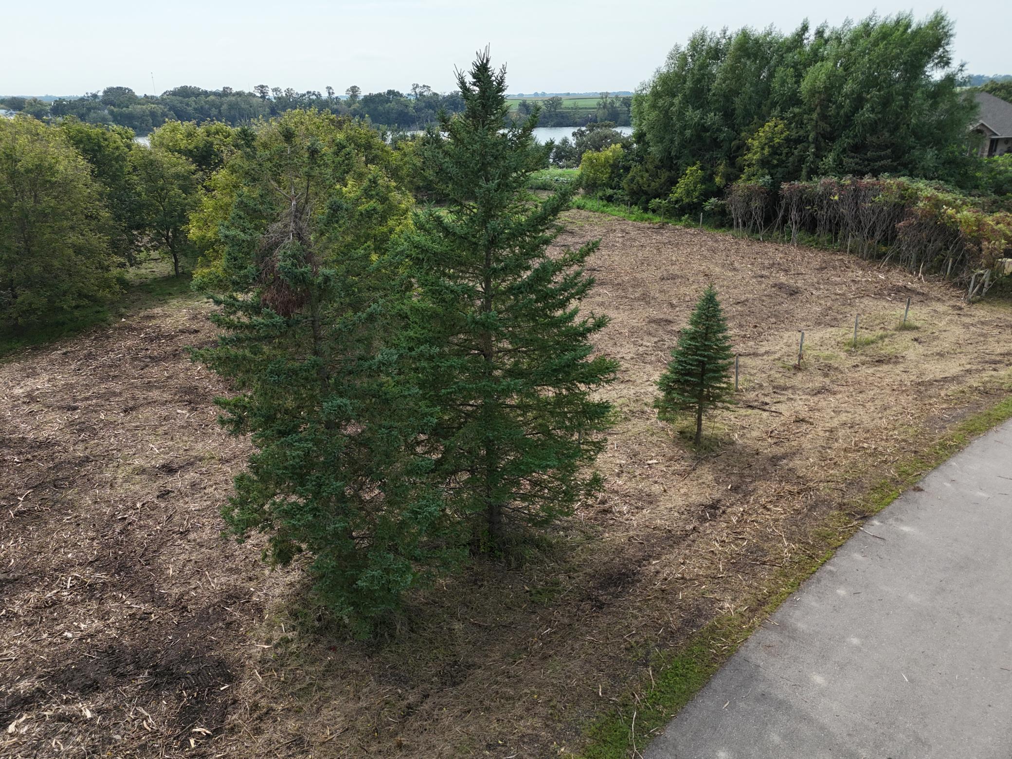 Tbd Wintermute Lane Morris, MN 56267 - Photo 24 of 27