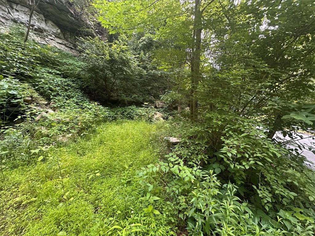 0 Coal Bluff Road Finleyville, PA 15332 - Photo 11 of 49