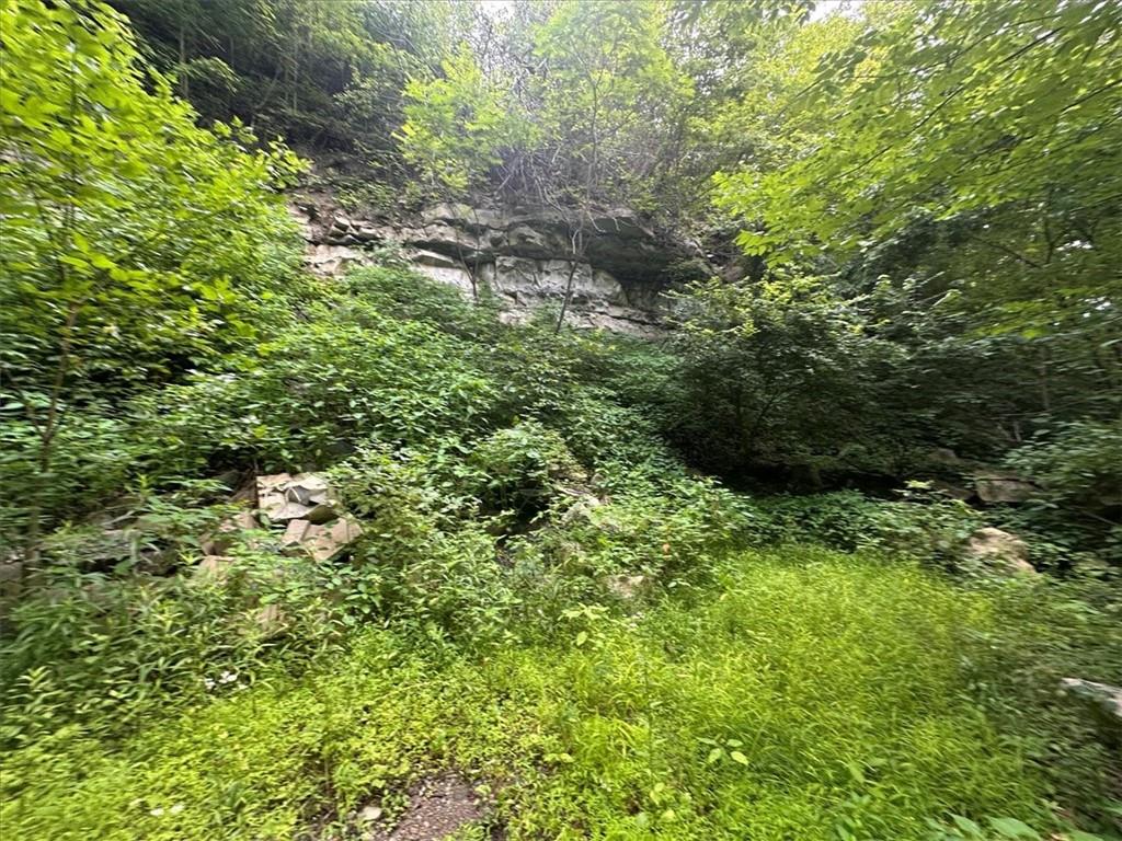 0 Coal Bluff Road Finleyville, PA 15332 - Photo 14 of 49