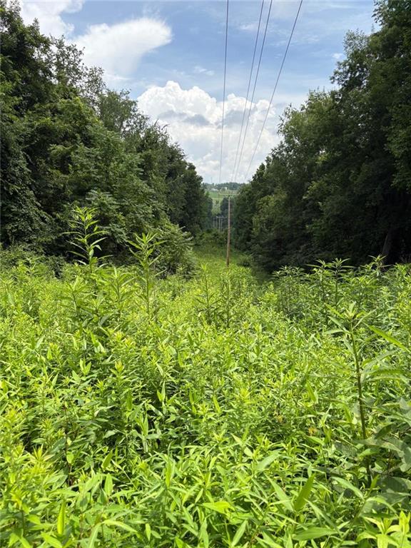 0 Coal Bluff Road Finleyville, PA 15332 - Photo 15 of 49