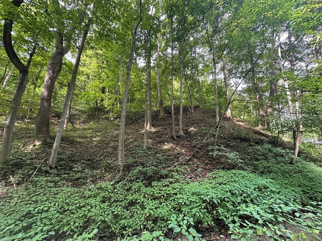 0 Coal Bluff Road Finleyville, PA 15332 - Photo 20 of 49