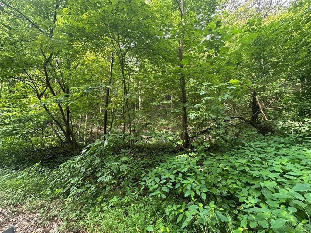 0 Coal Bluff Road Finleyville, PA 15332 - Photo 33 of 49