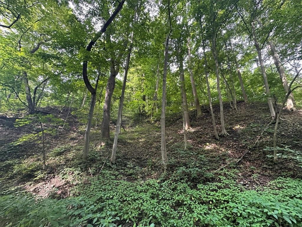 0 Coal Bluff Road Finleyville, PA 15332 - Photo 37 of 49