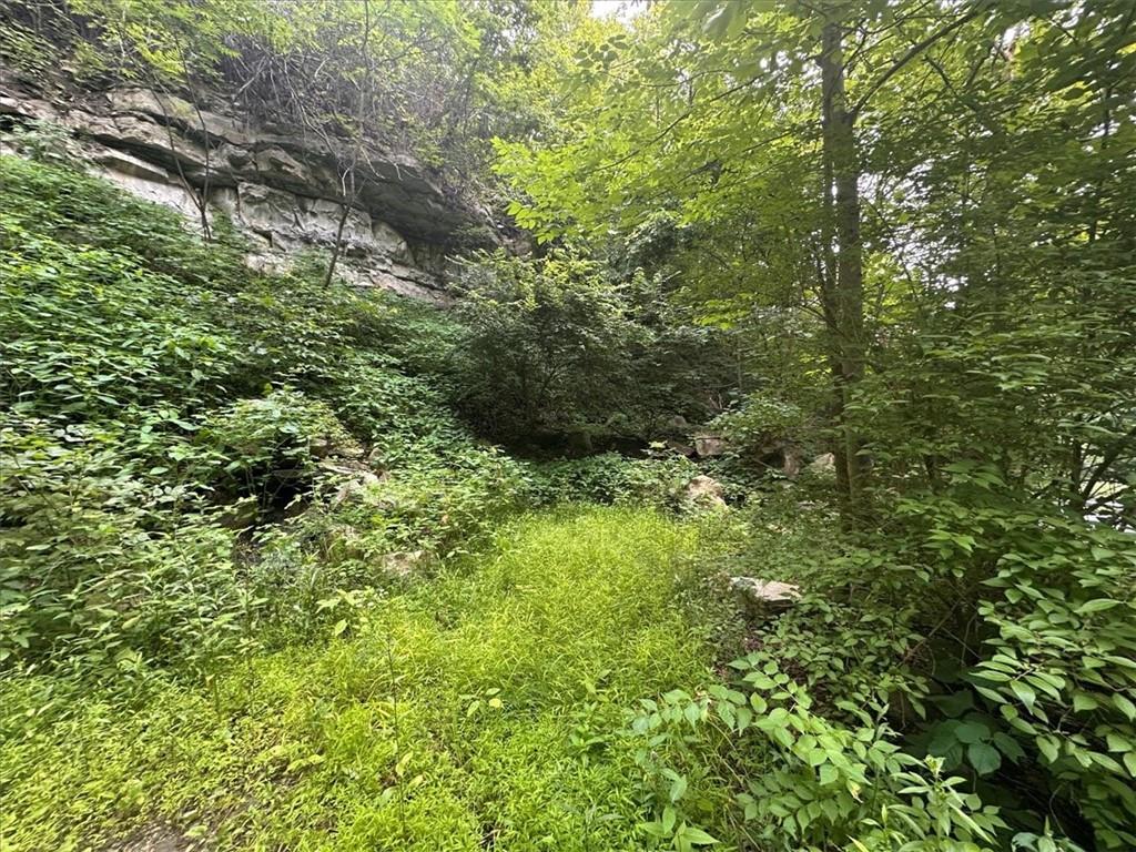 0 Coal Bluff Road Finleyville, PA 15332 - Photo 43 of 49