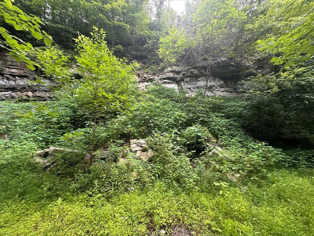 0 Coal Bluff Road Finleyville, PA 15332 - Photo 44 of 49