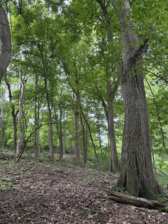 0 Coal Bluff Road Finleyville, PA 15332 - Photo 45 of 49