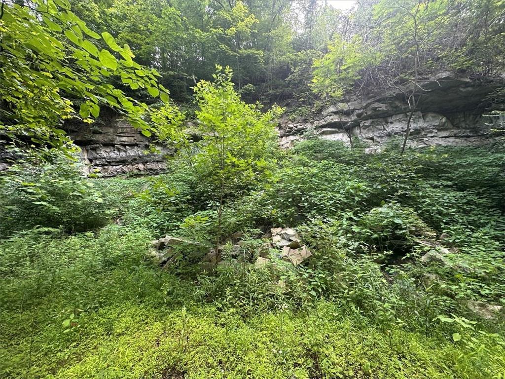 0 Coal Bluff Road Finleyville, PA 15332 - Photo 46 of 49