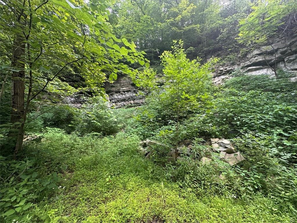 0 Coal Bluff Road Finleyville, PA 15332 - Photo 47 of 49