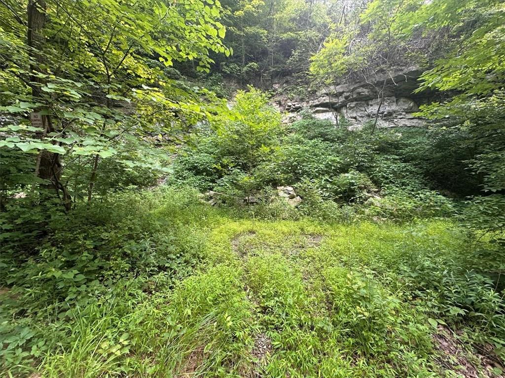 0 Coal Bluff Road Finleyville, PA 15332 - Photo 49 of 49