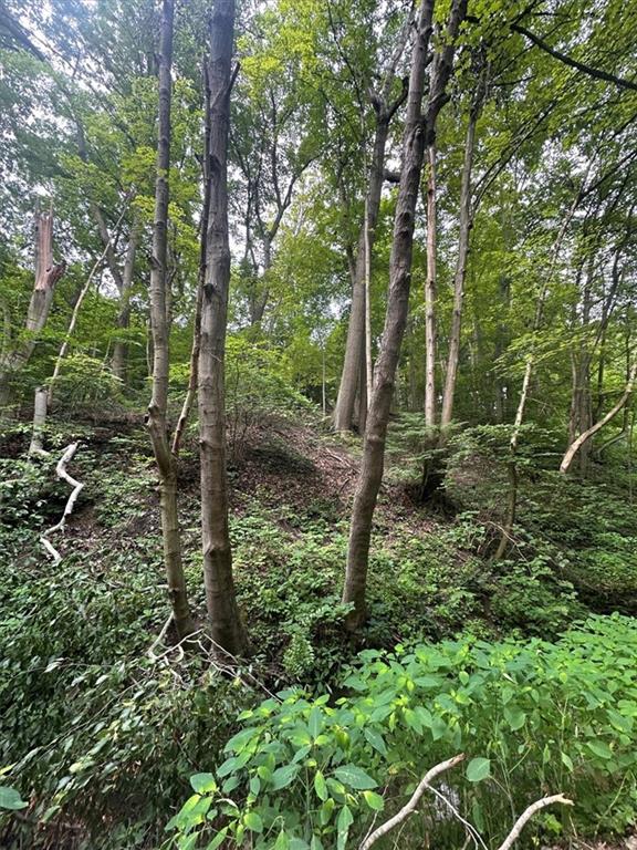 0 Coal Bluff Road Finleyville, PA 15332 - Photo 8 of 49
