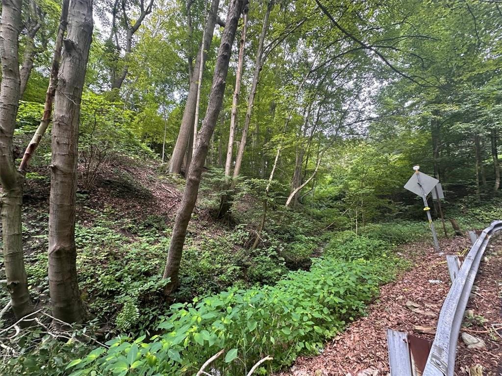 0 Coal Bluff Road Finleyville, PA 15332 - Photo 9 of 49