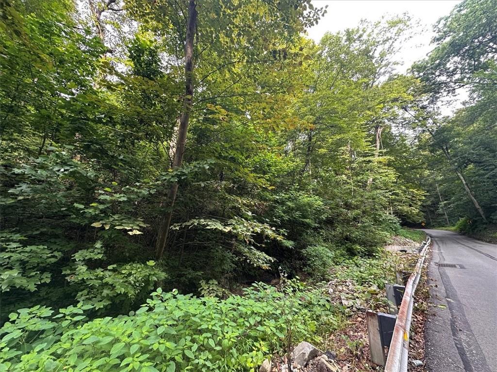 0 Coal Bluff Road Finleyville, PA 15332 - Photo 10 of 49