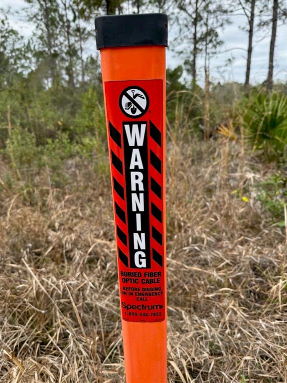 859 Wild Cur Road Pierson, FL 32180 - Photo 9 of 19