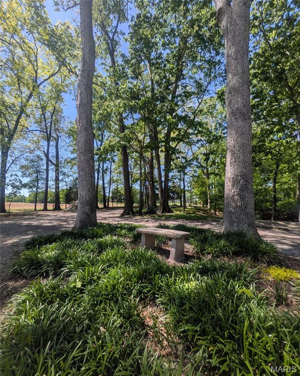 1565 Centerville Road Columbia, IL 62236 - Photo 61 of 66 Gallery Image 61