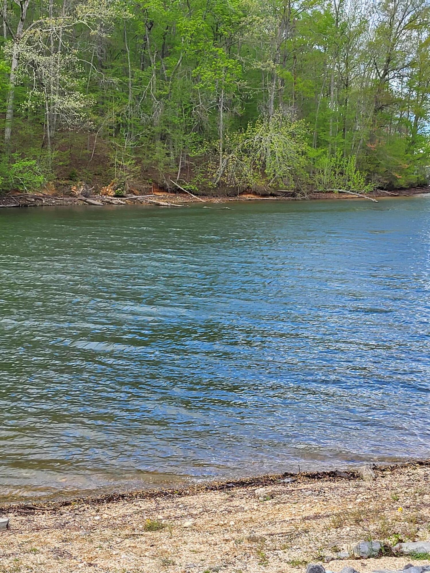 4783 Parker Loop Road Birchwood, TN 37308 - Photo 8 of 14 Grasshopper Rec Area 3